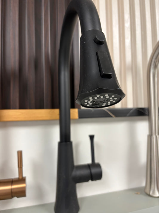 Black Matte Faucet
